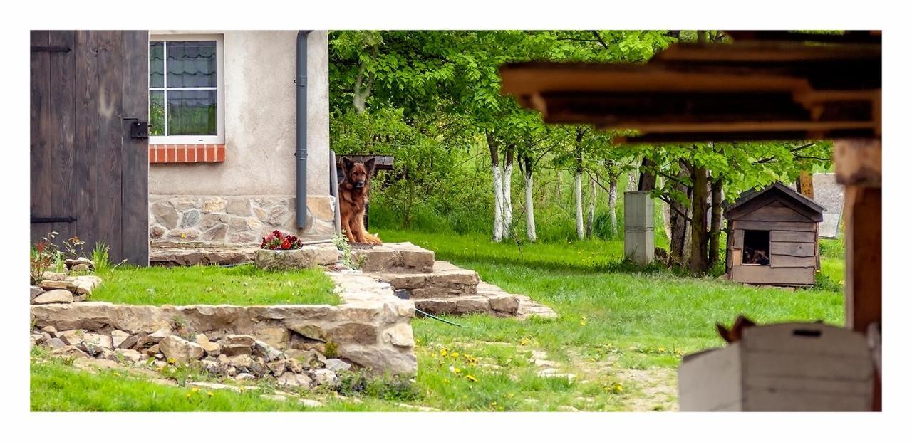 Kozy i Róże Vila Oldrzychowice Klodzkie Exterior foto