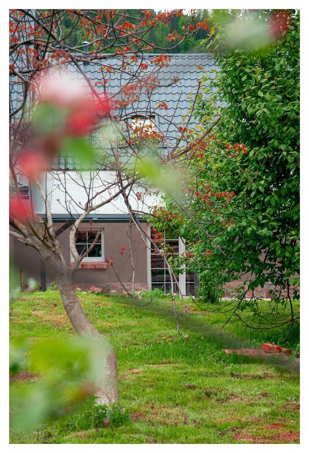 Kozy i Róże Vila Oldrzychowice Klodzkie Exterior foto