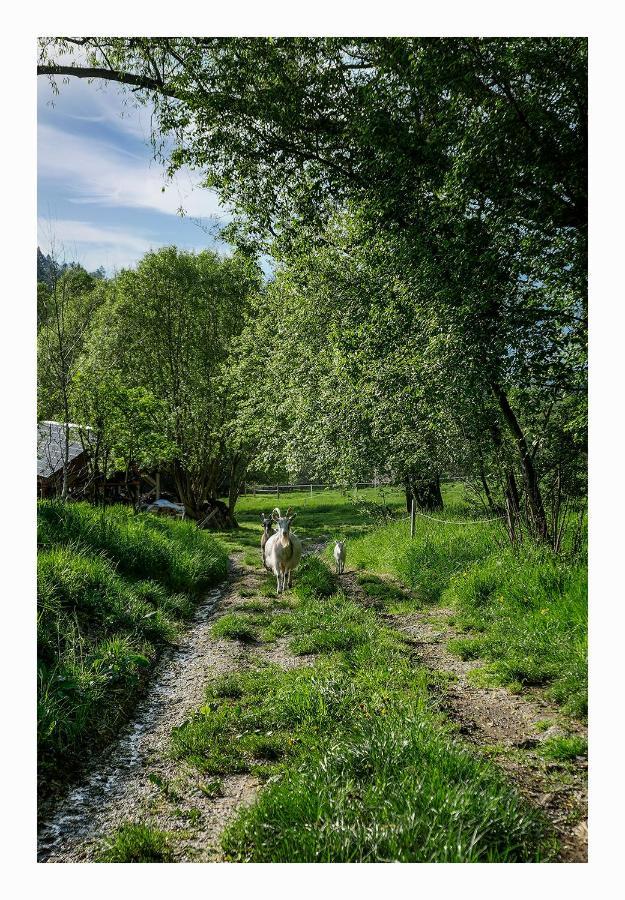 Kozy i Róże Vila Oldrzychowice Klodzkie Exterior foto