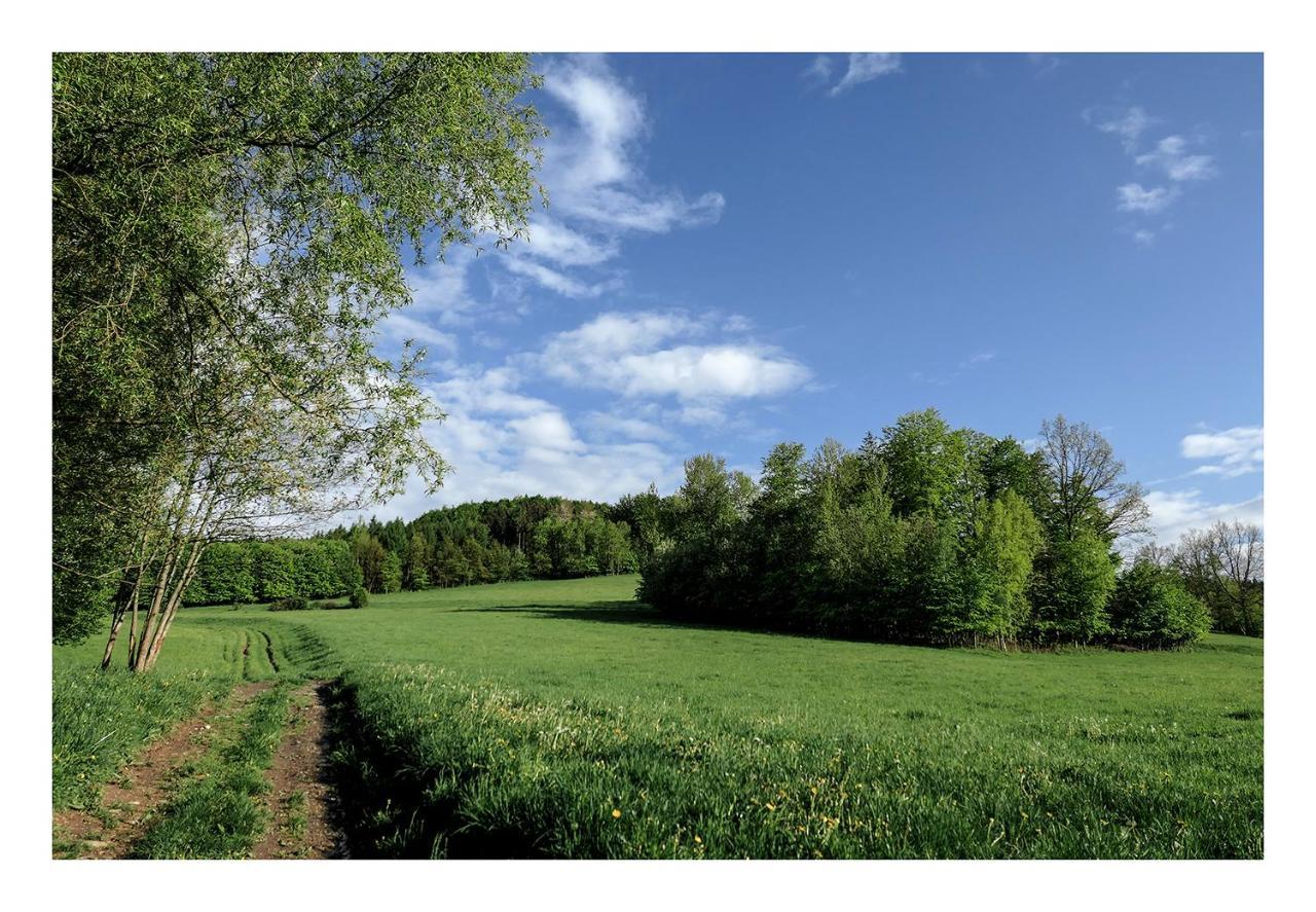 Kozy i Róże Vila Oldrzychowice Klodzkie Exterior foto