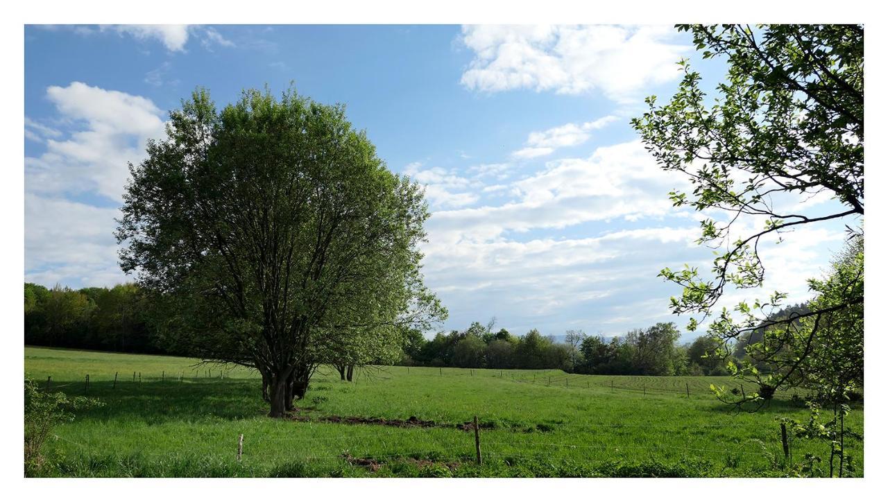 Kozy i Róże Vila Oldrzychowice Klodzkie Exterior foto