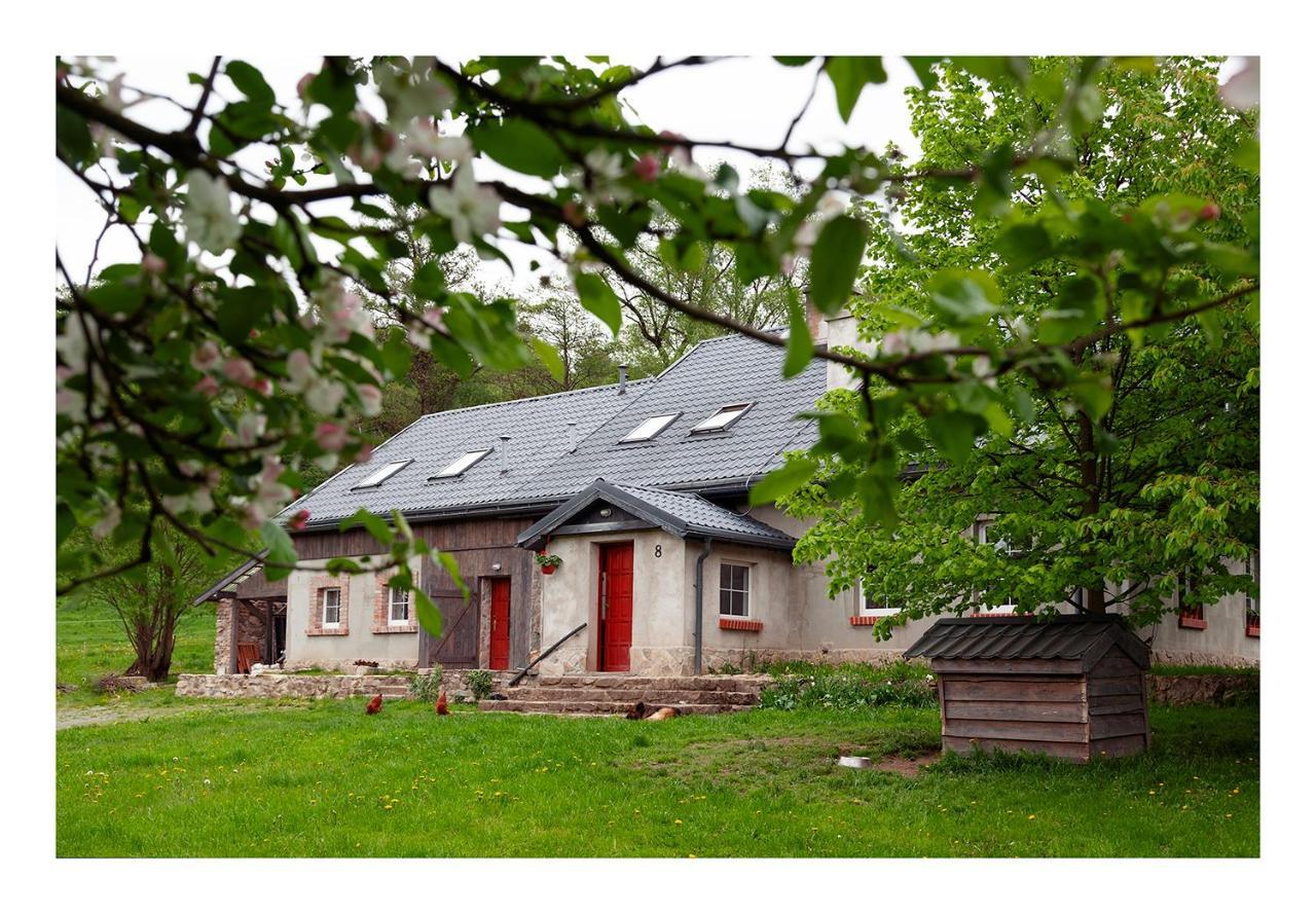 Kozy i Róże Vila Oldrzychowice Klodzkie Exterior foto